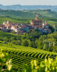 The beautiful village of Barolo and its vineyards on a summer afternoon, in the Langhe region of Piedmont, Italy.