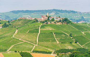 The beautiful village of Castiglione Falletto and its vineyards, in the Langhe region of Piedmont, Italy.