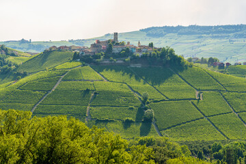 The beautiful village of Castiglione Falletto and its vineyards, in the Langhe region of Piedmont, Italy.