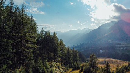 Beautiful mountain landscape with summer fields and coniferous forest in the Italian Alps.