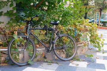 Fototapeta na wymiar Men's black bicycle parked outdoor near building, fastened to low fence, on paved alley in the city in autumn