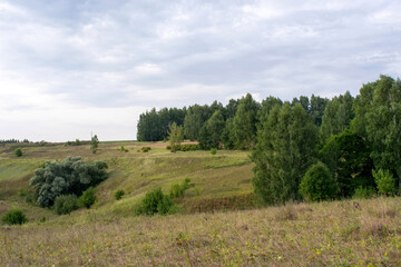a forested ravine in central Russia