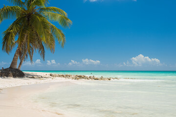 sunny beach with white sand azure sea and green palm trees on the Caribbean islands
