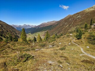 beautiful autumn hike in the swiss mountains near Sertig, Davos. Larks forests bloom and snow-covered mountain peaks