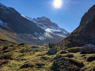 Naklejka premium beautiful autumn hike in the swiss mountains near Sertig, Davos. Larks forests bloom and snow-covered mountain peaks