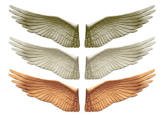 Metallized wings isolated. Set
