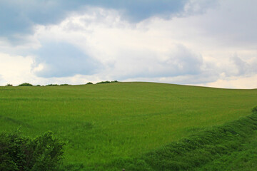 Hungarian landscape from a meadow with hill