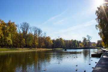 Obraz premium Beautiful autumn landscape - small pond in the autumn park - A beautiful autumn day - colorful autumn