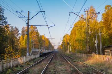 Fototapeta na wymiar Railway tracks surrounded by trees in the autumn forest under the blue sky