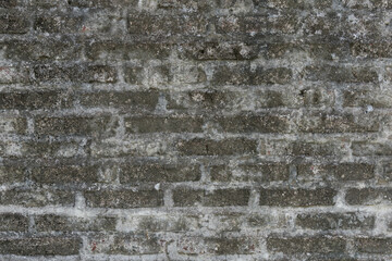 Old brick and concrete wall texture with mold. Dark gray colors