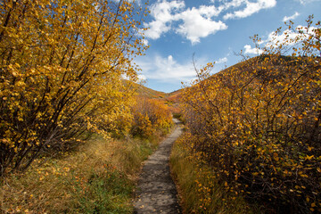 Fototapeta na wymiar Fall colors in the mountains with blue sky