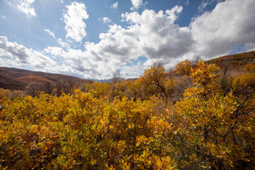 Fall colors in the mountains with blue sky