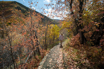 Fall colors in the mountains with blue sky