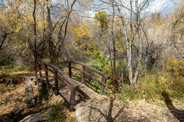 Wooden bridge over a spring