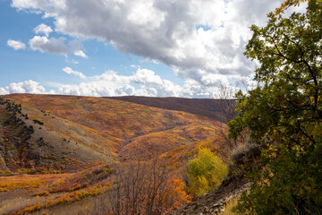 Fall colors in the mountains with blue sky