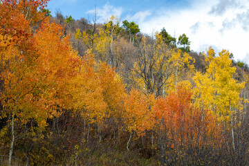 Fototapeta na wymiar Fall colors in the mountains with blue sky