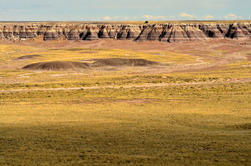 Obraz premium Petrified Forest Arizona