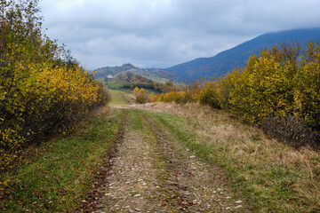 Fototapeta na wymiar Hazy and overcast autumn Carpathian Mountains and dirty countryside path, Ukraine.