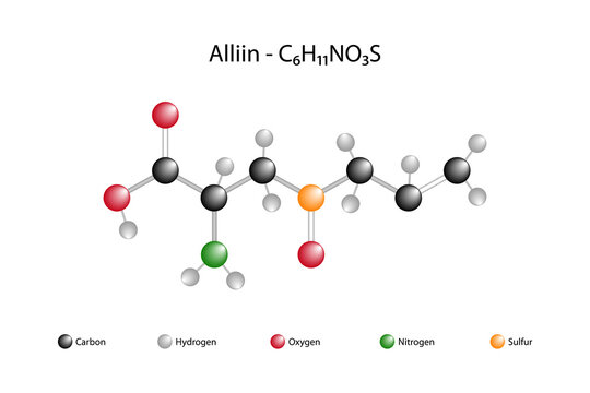 Alliin Bilder Durchsuchen 161 Archivfotos, und Videos
