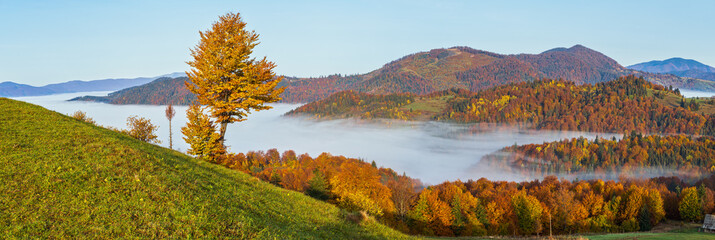 Morning foggy clouds in autumn mountain countryside.  Ukraine, Carpathian Mountains, Transcarpathia.