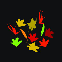 Collection Of Different Autumn Leaves Isolated