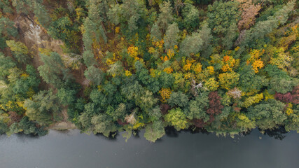 Aerial landscape - wild river in autumn
