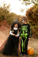 boy and girl dressed as a witch and a skeleton with pumpkins in nature in warm orange colors