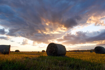 A field with haystacks on a summer or early autumn evening with a cloudy sky in the background....