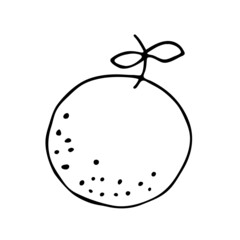 A hand-drawn mandarin. Vector illustration of a mandarin with leaves in the style of a doodle. A simple image with a black outline isolated on a white background.