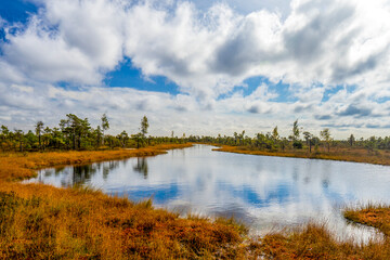 Lake with reflections of the blue sky in Kemeri National Park, Jurmala Latvia. On the trail between bog, swamps, grass, lakes, forest. Beautiful Latvian landscape captured in the reddish autumn.