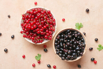 Bowls with ripe red and black currant on color background