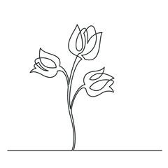 Continuous line drawing of flower. Vector illustration