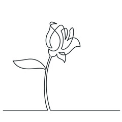 Continuous line drawing of flower. Vector illustration