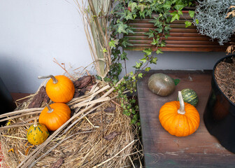 Pumpkins and autumn leaves, symbol of Autumn harvest, Thanksgiving, Mabon sabbat and Halloween holiday. fall seasonal natural background