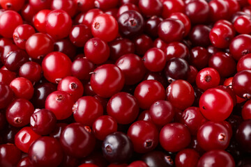 Ripe juicy cranberries as background