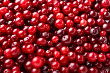 Ripe juicy cranberries as background