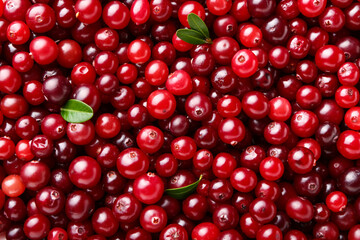 Ripe juicy cranberries as background