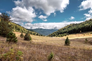 Landscape of national park Tara in Serbia.