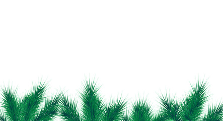 Christmas and New Year vector banner template. Fir tree branches border with winter decor on transparent