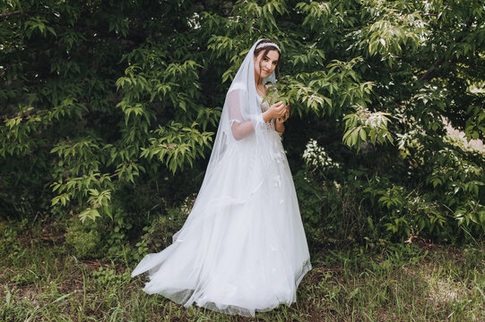 A beautiful bride in a white dress with a long veil stands in the nature in the garden with green leaves on a tree. Wedding photography.