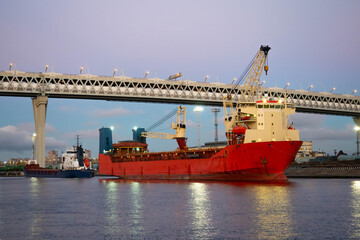 Commercial sea port. Barges on the background of the bridge. Vessels with cranes. Red barge close-up. The ship is moored in the harbor. Cargo transportation by water transport. Sea logistic