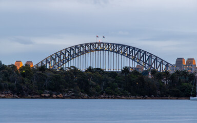 Sydney Harbour Bridge view behind the bush.