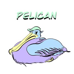Colourful pelican in the cap with lettering isolated on white 
