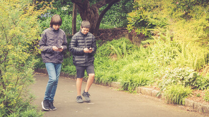 Fototapeta premium Teenage Mixed Race Brothers Walking In Park Using Their Mobile Phones - selective focus with copy space