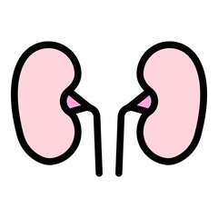 Anatomy kidney icon. Outline anatomy kidney vector icon color flat isolated