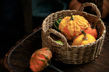 Colorful decorative pumpkins in wicker . Halloween decor with various pumpkins and flowers. Autumn crop, gather or harvest.