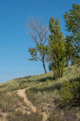 Obraz premium Path to the beach in Michigan USA