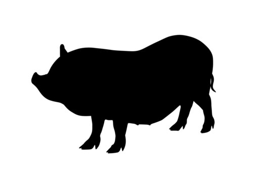 Pig silhouette. Icon outline pork. black pictogram isolated on white background. Symbol farm. Drawing flat graphic piglet. Side fat hog. Simple profile swine. Vector illustration