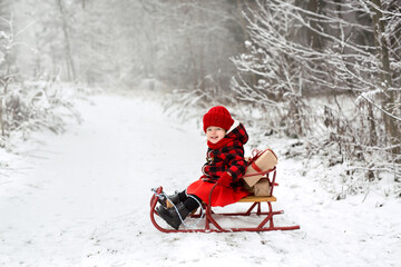 A girl in a plaid coat is sitting in a sled in the woods with a bunch of Christmas gifts tied with a ribbon. It's time to choose and give gifts. The New year is coming soon. copy space