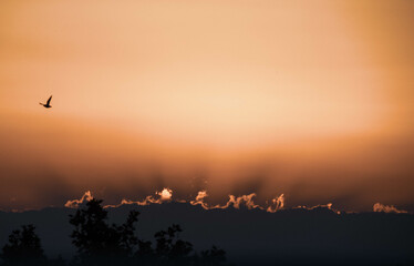 Spring Sunset / Atardecer de primavera (01)
